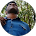 Navile Manoj Kumar